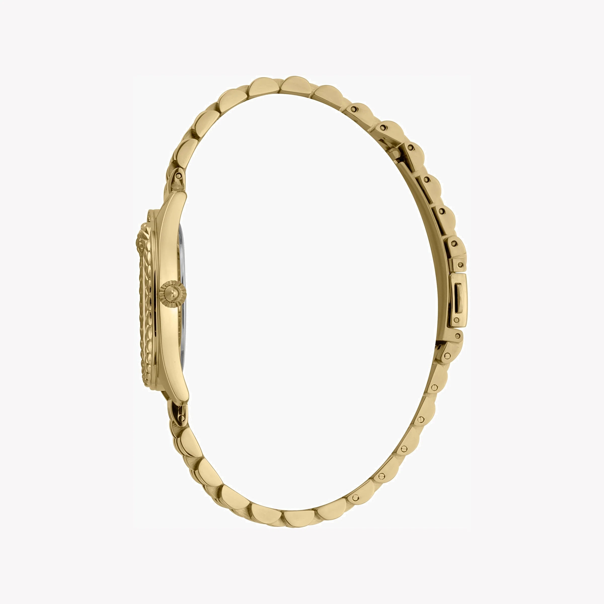 439e3f66-7c1f-4415-83d4-2bd6a1b4e358-1.jpg 439e3f66-7c1f-4415-83d4-2bd6a1b4e358-1.jpg