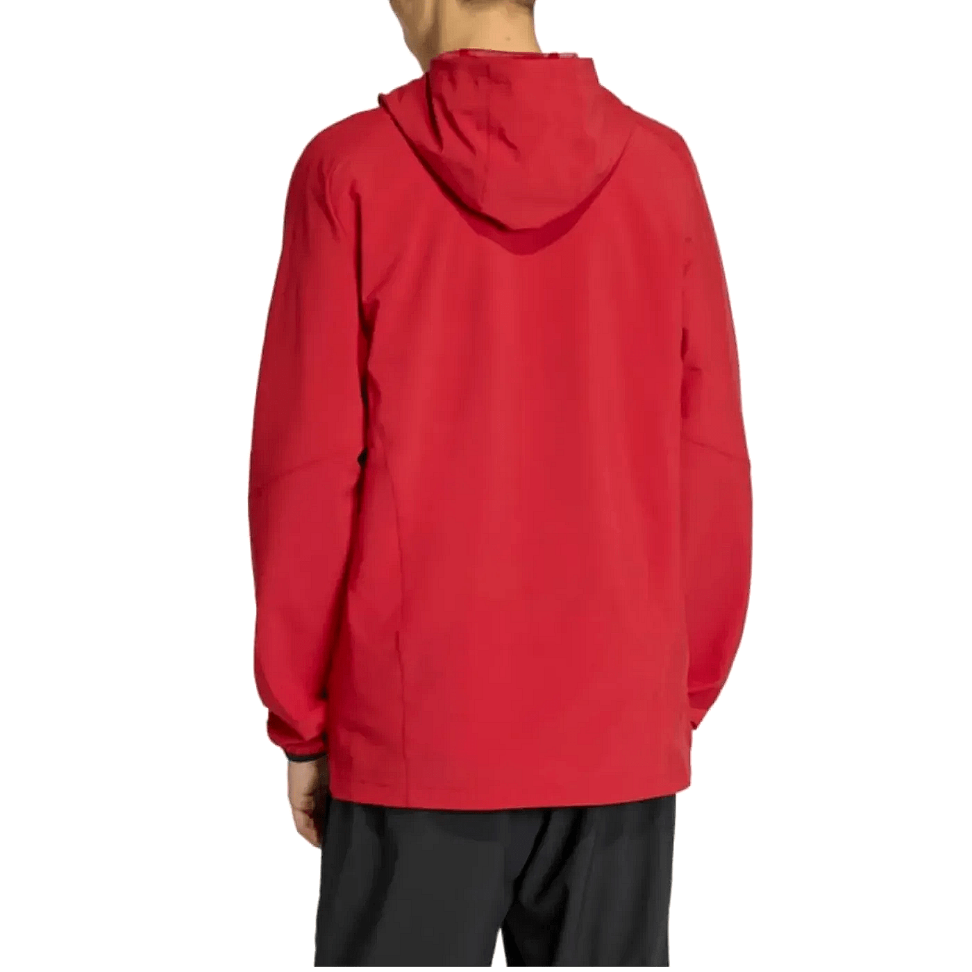 adidas-belgium-soccer-tracksuit-wc-2026-jacket-back-1.png adidas-belgium-soccer-tracksuit-wc-2026-jacket-back-1.png