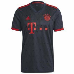 bayern_munich_munchen_monaco_2022_2023_third_3rd_soccer_jersey_football_kit_shirt_grey_adidas_maillot_troisieme_dritte_trikot_camiseta_tercera_maglia_terza_calcio_foot_camisa-1.jpg