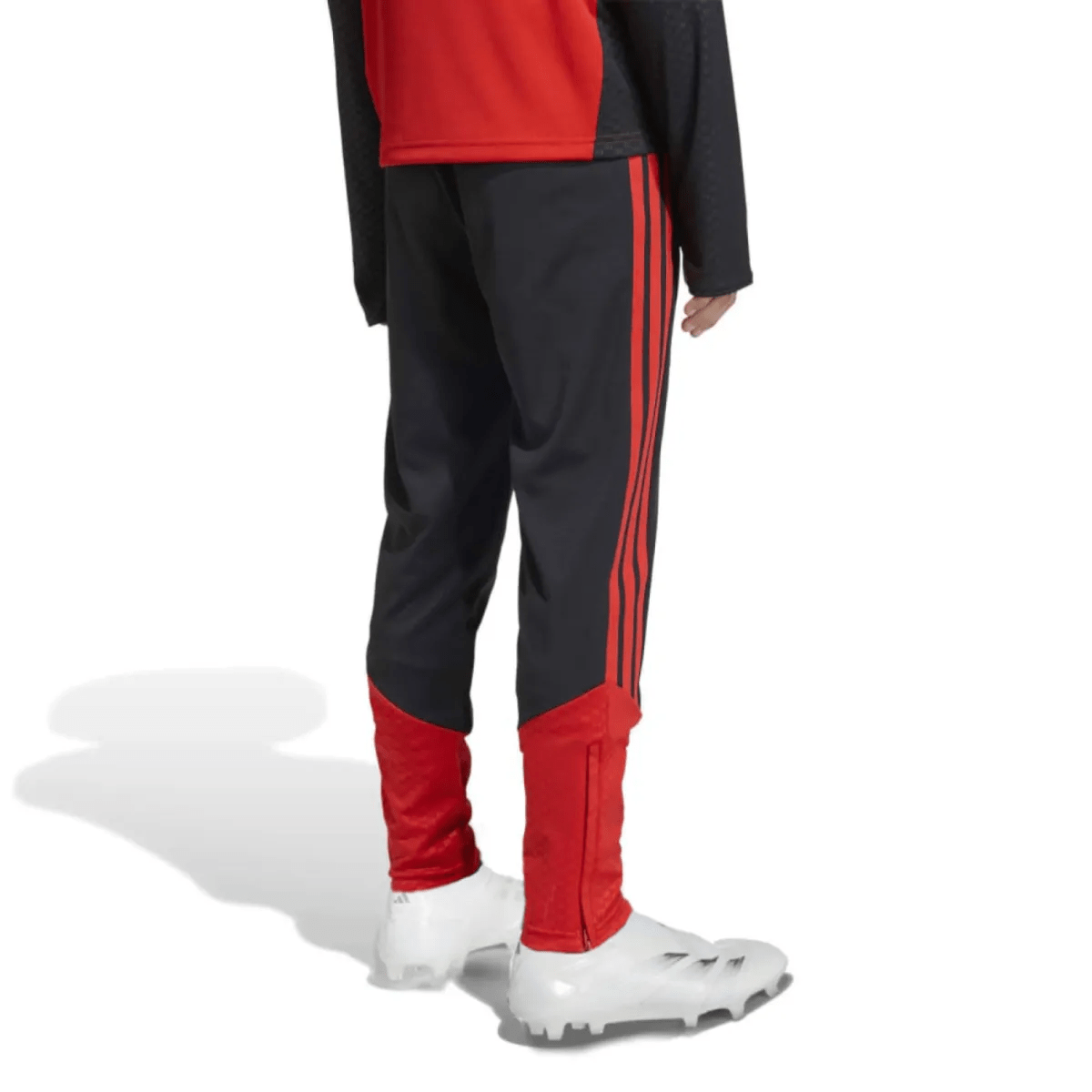 kids-belgium-training-tracksuit-2026-back-pants-1.png kids-belgium-training-tracksuit-2026-back-pants-1.png