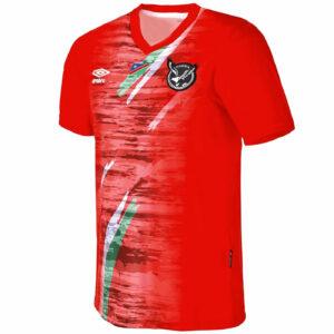 umbro-official-namibia-soccer-jersey-front-red-brushstroke-flag-stripe-vneck-crest.jpg